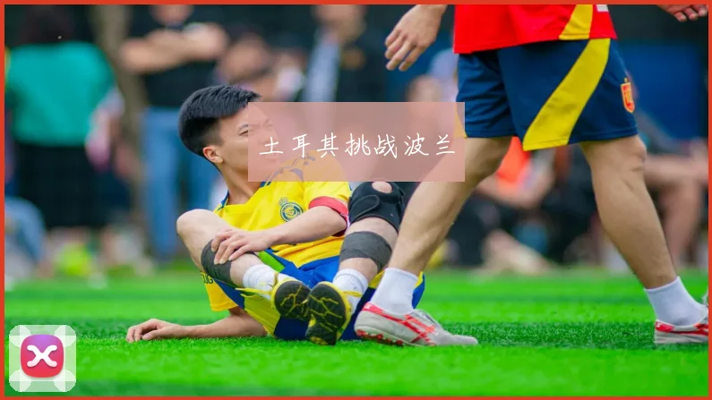 土耳其挑战波兰