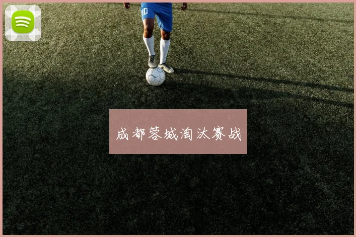 成都蓉城淘汰赛战