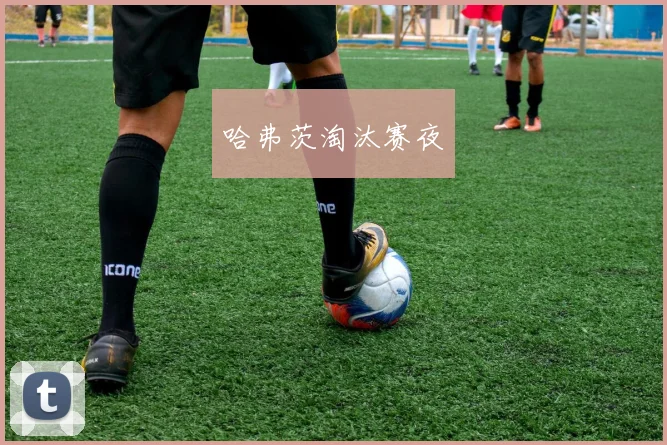 哈弗茨淘汰赛夜